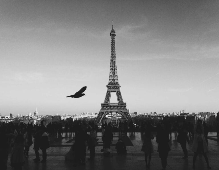 The Role of International Organizations in Crisis Management